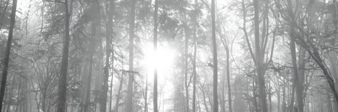 folkbeaa's profile banner image