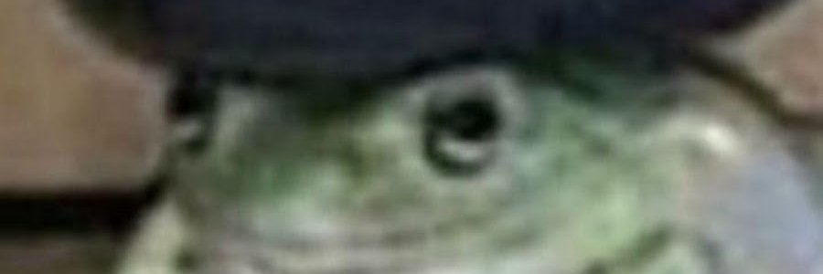 Llammita2001_'s profile banner image