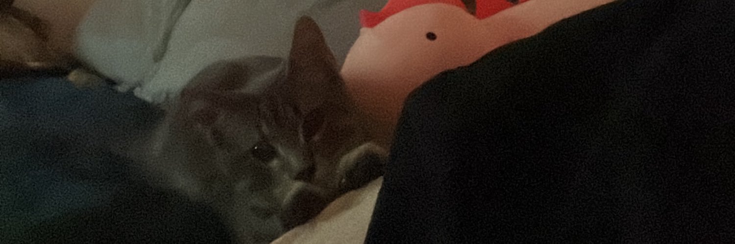 ruthlessrice's profile banner image
