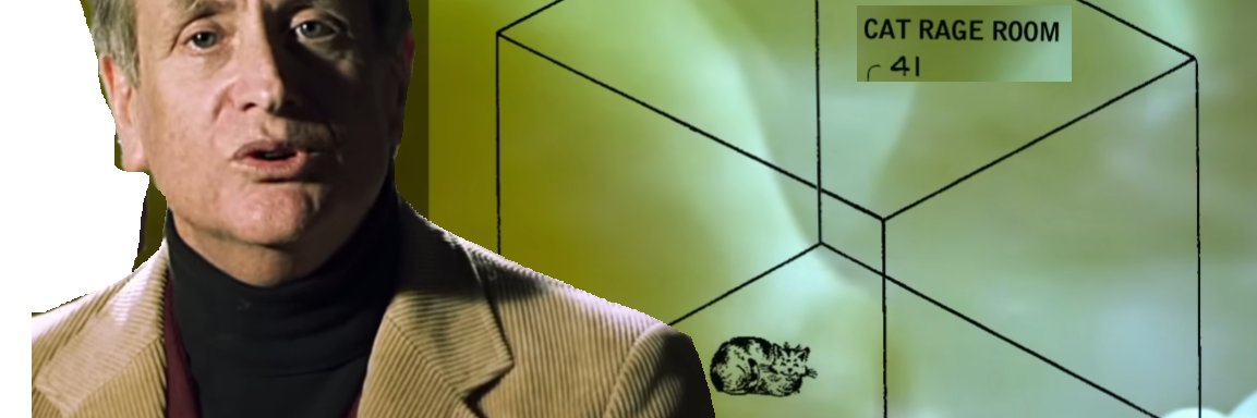 angerycatenjoyer banner