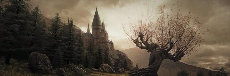 lobadivonica's profile banner image