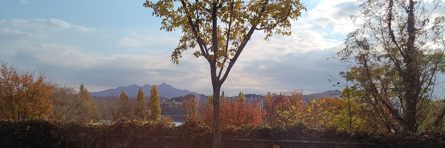 zzomizzang's profile banner image