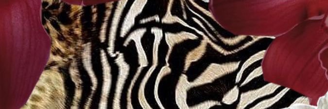 MariamJG90's profile banner image