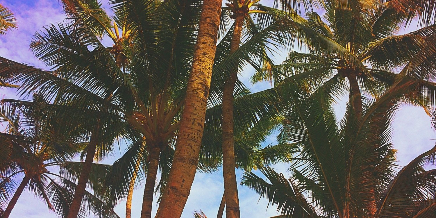 meri banner
