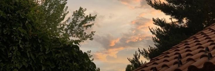 🧚🏻‍♂️ banner
