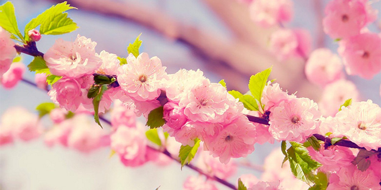 JulianaCbaArg's profile banner image