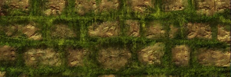ClarityWindow's profile banner image