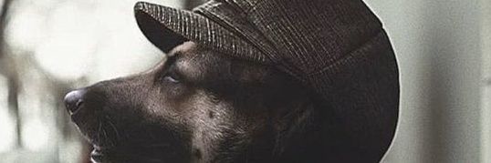 Bless banner