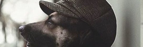 Blesszw Profile Banner