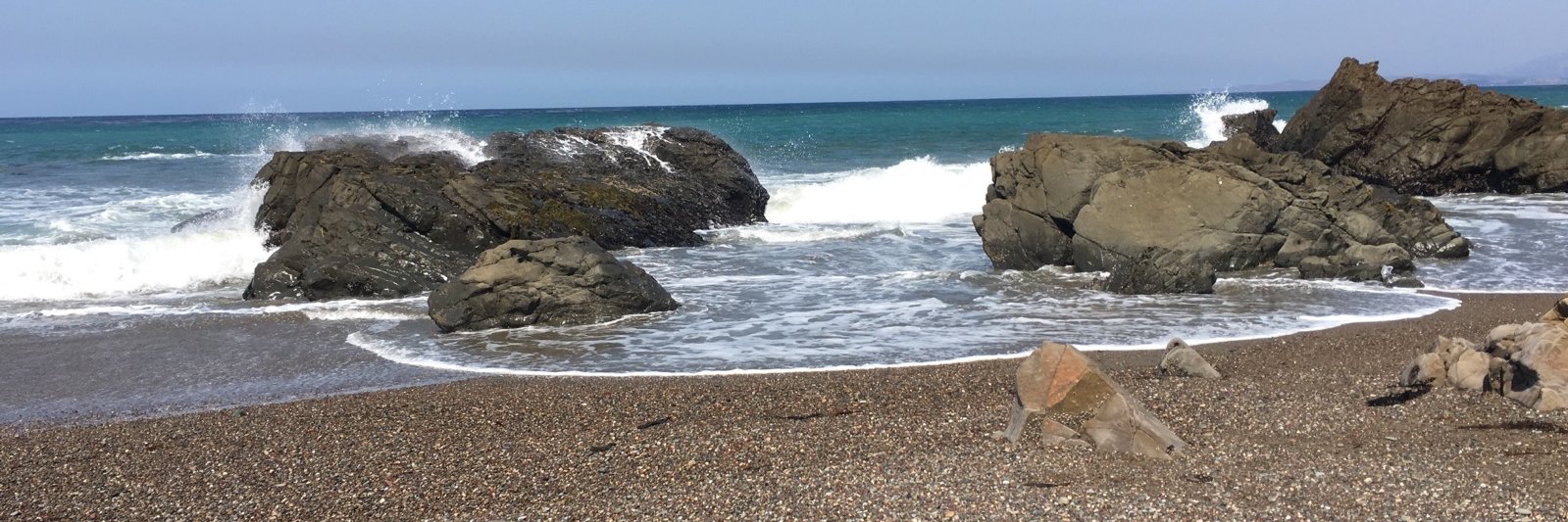 Diane Lofgren banner