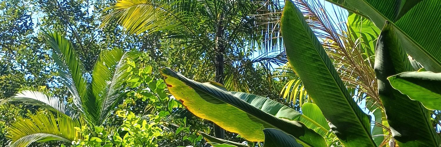 Cadela & Júridico da Raye | TMMCH banner