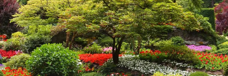 c4865585959858's profile banner image