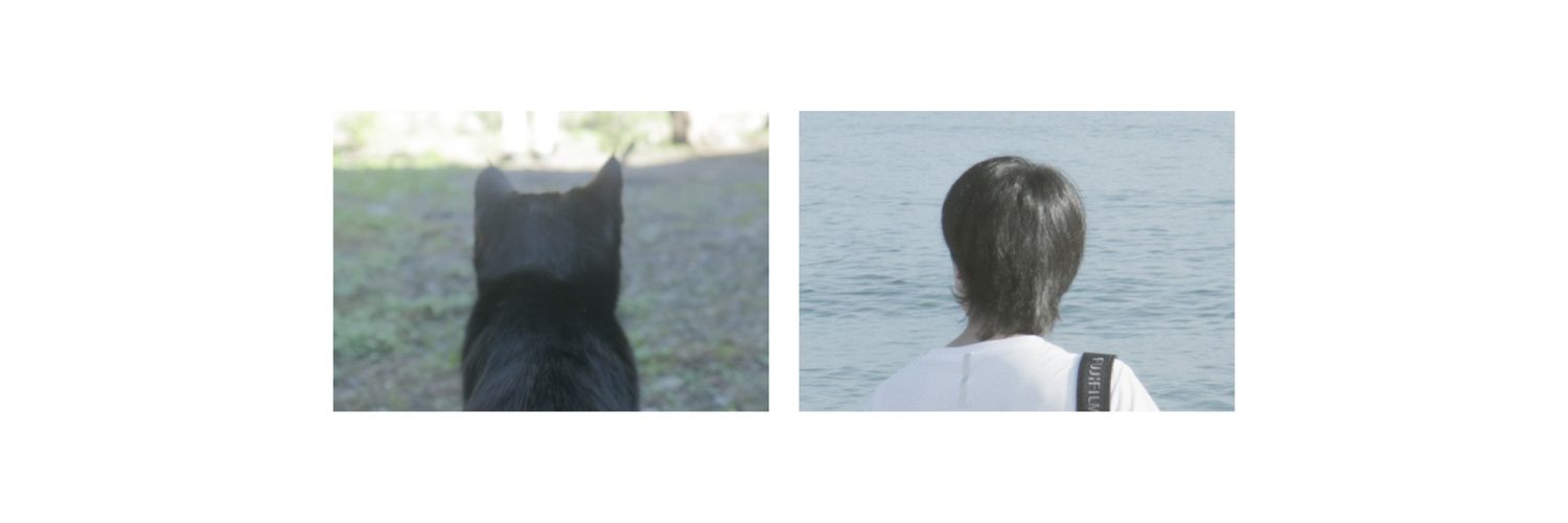 U banner