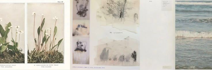 yuri ^_____^ 🦩🪽 banner