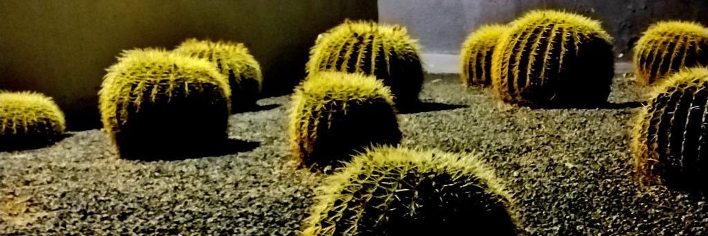 MVampland's profile banner image