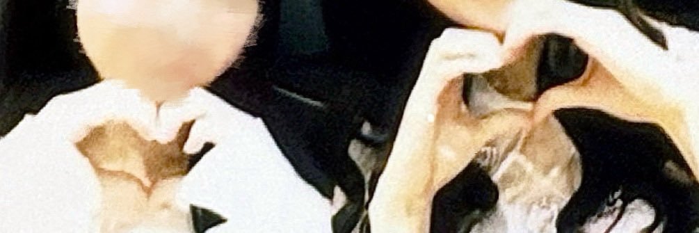 しぃちゃん banner