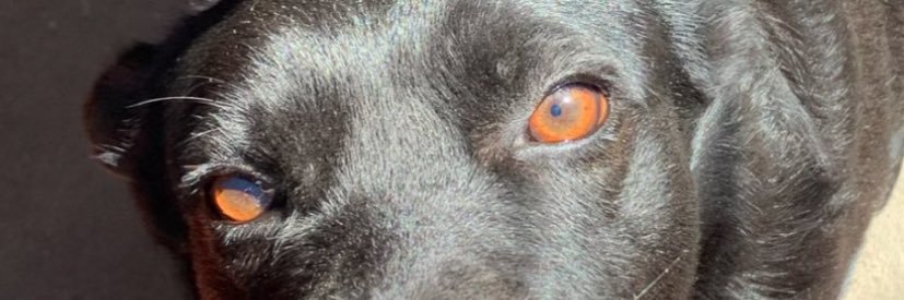 lemenicolly21's profile banner image