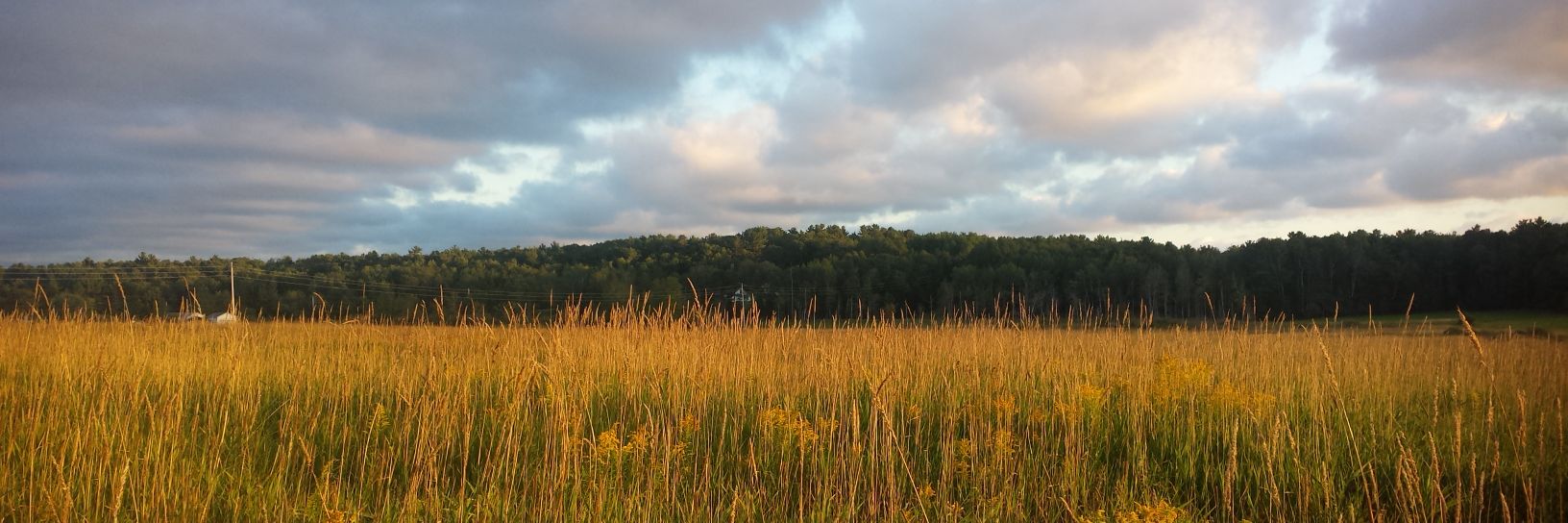 GoldnGrobie's profile banner image