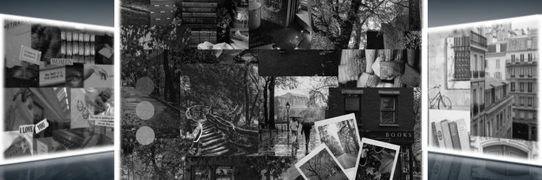 PorcelainTear's profile banner image