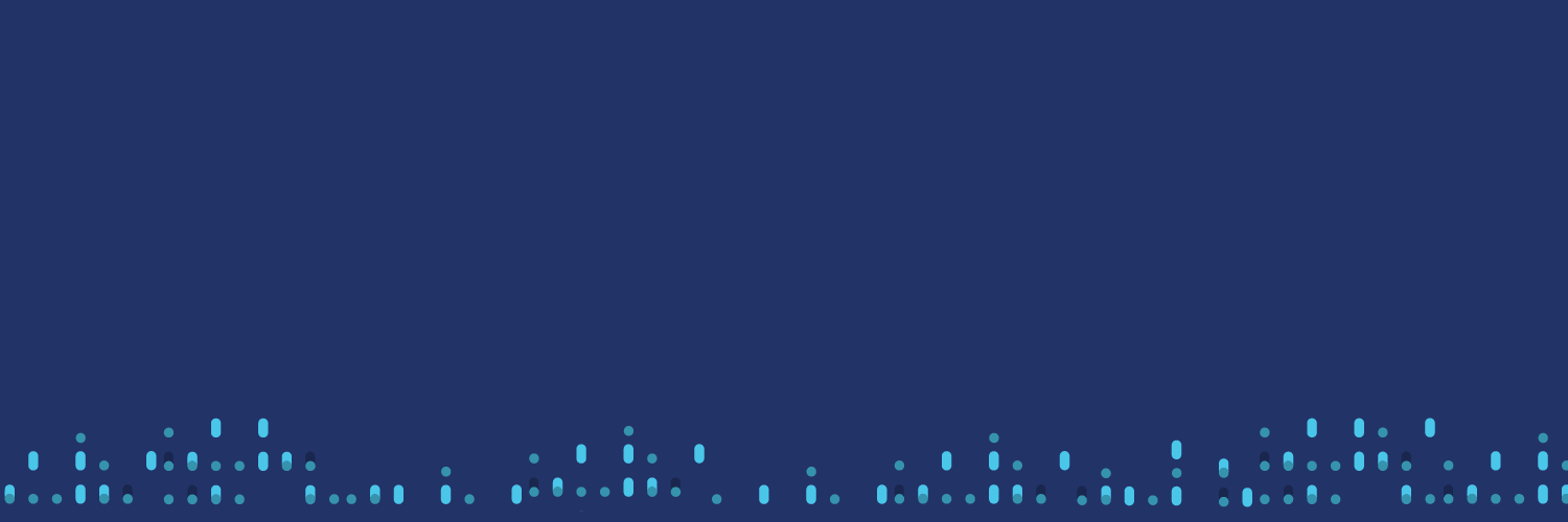 Hostiran Network banner
