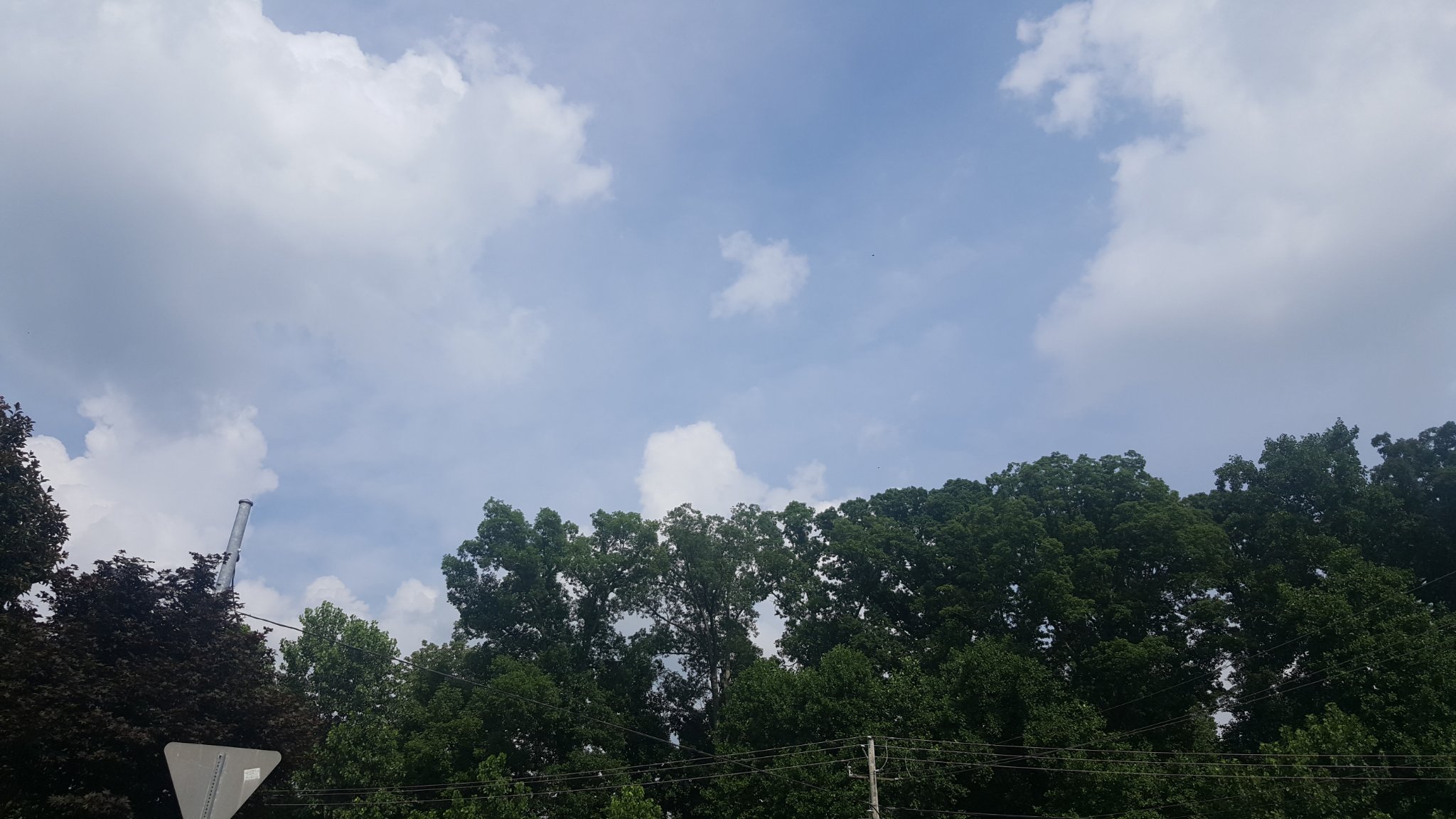 qjthomas's profile banner image