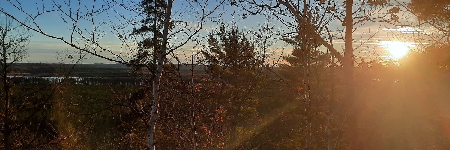 FivePillarFarms's profile banner image