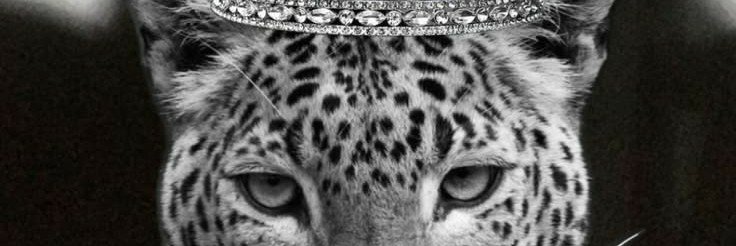 Lymor0's profile banner image