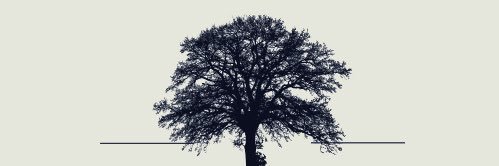 The Iroko Circle banner