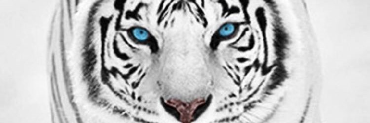 Meiganes's profile banner image