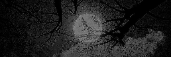 LEROGUE Profile Banner