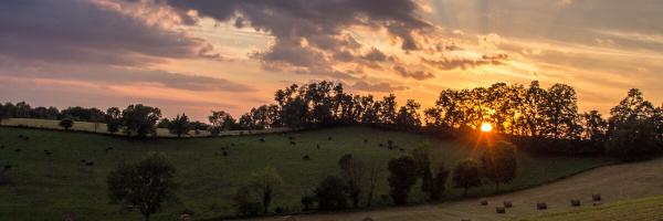 JoshuaPotter17 Profile Banner