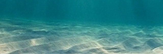 零 banner