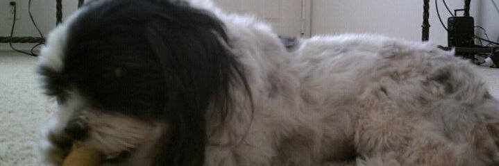 Sheila - Florida banner