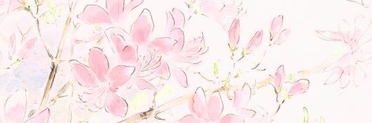 amopeit0k's profile banner image