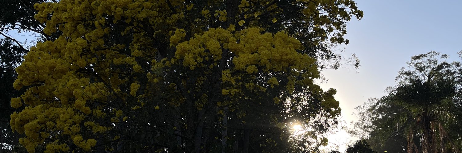 giisaari's profile banner image