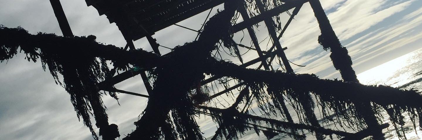 cm_denton's profile banner image