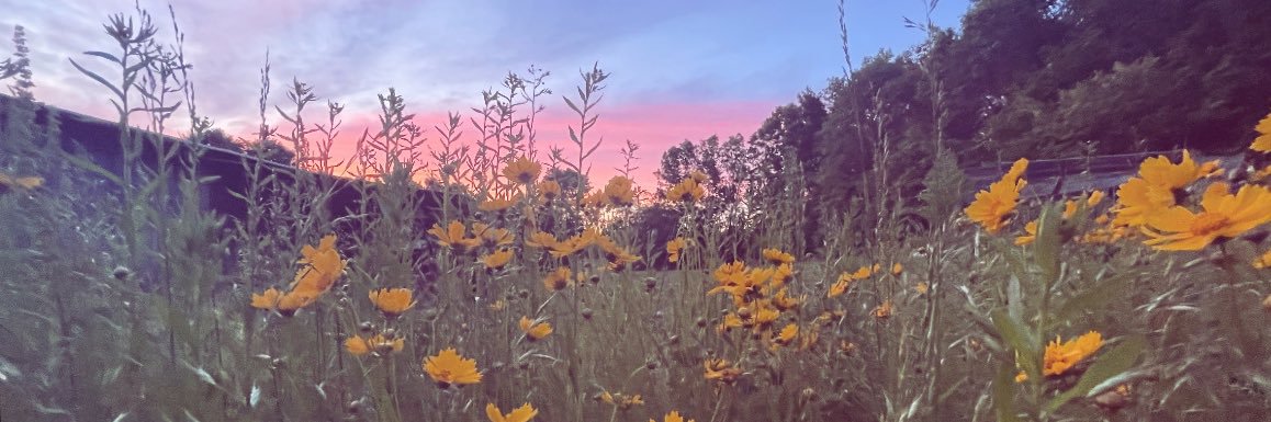 itsbrittbitch33's profile banner image