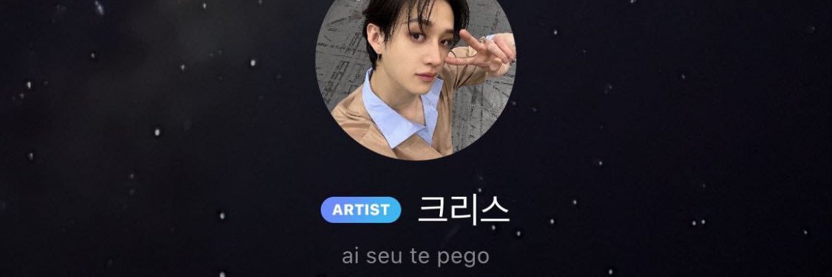 na - vai ver o SKZ de novo! banner