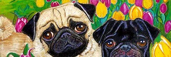 DJ Pug banner