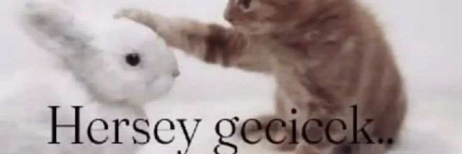G00R3fr's profile banner image