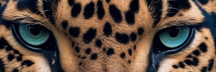 MDomingos22's profile banner image