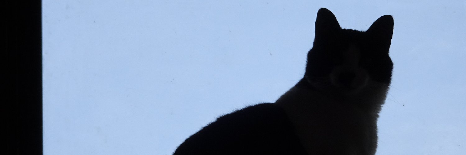 lati_alt's profile banner image