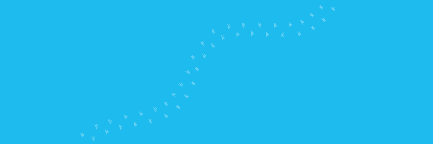 GoldenGekko's profile banner image
