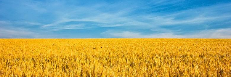 NicoleShea11222's profile banner image