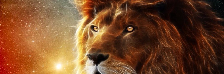 mrt145313's profile banner image