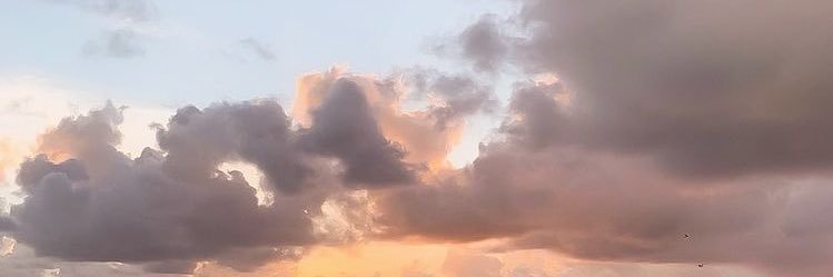 baaaabe's profile banner image
