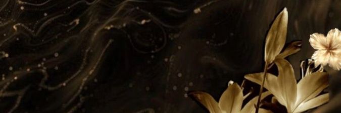 Panotnoir's profile banner image