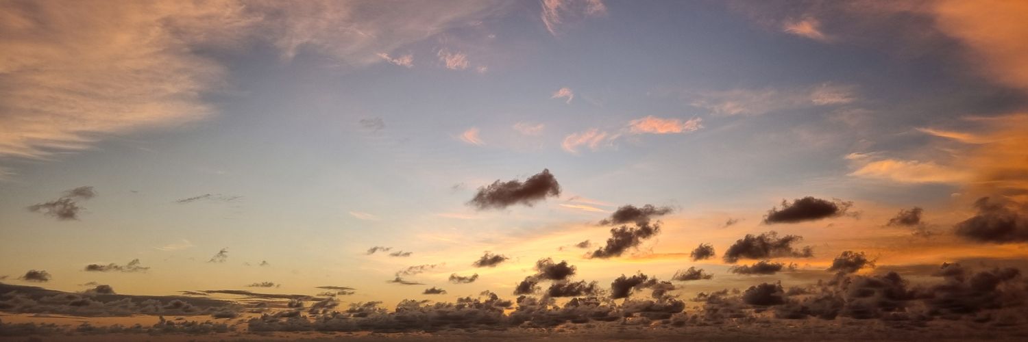imyour__joy__'s profile banner image