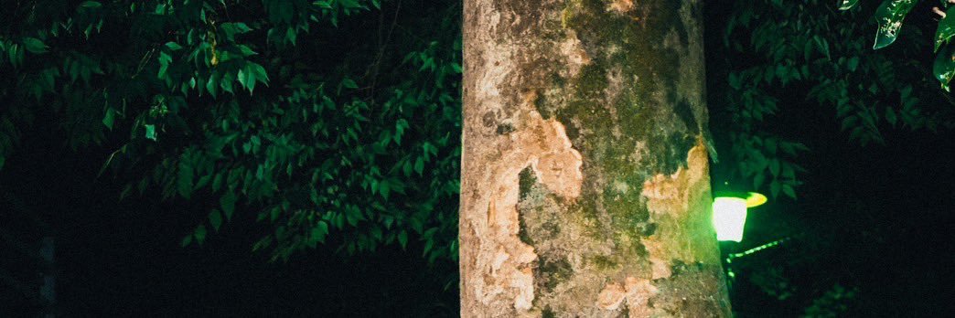 是　永　亮　祐 banner