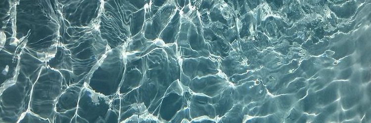 jessdoglio's profile banner image